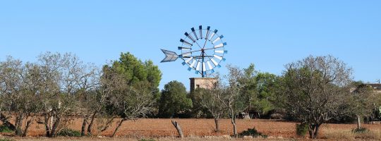 Mallorca Landschaft Windmühle